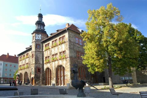 Entrümpelung in Nordhausen